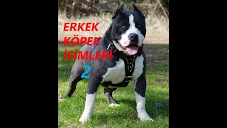 ERKEK KÖPEK İSİMLERİ EN GÜZEL [upl. by Domonic]