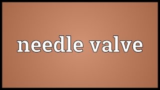 Needle valve Meaning [upl. by Currie899]