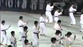 Okinawan Karate and Kobudo Festival 1990 [upl. by Ahsac]