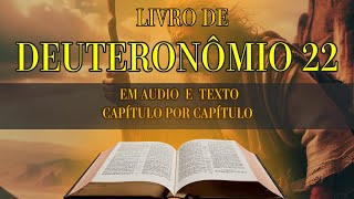 🔊 Áudio da Bíblia Sagrada Deuteronômio Capítulo 22  Com Texto [upl. by Teece]