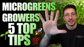 Top 5 Tips For Beginner Microgreen Growers 2024 [upl. by Fae]