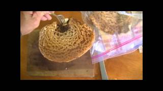 Dryads saddle Cooking and Saving [upl. by East]