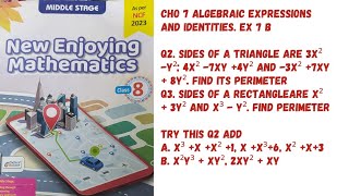 Chp 7 Algebraic Expressions amp Identities Ex 7B  Q2  Q3 Try This Q2 Add Class 8 Oxford Maths [upl. by Galitea860]