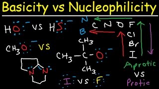 Basicity vs Nucleophilicity  Steric Hindrance [upl. by Elay596]