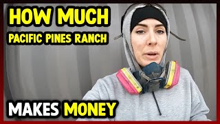 How Much Pacific Pines Ranch Makes Money On YouTube 2024 [upl. by Uriah308]