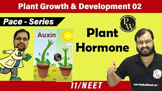 Plant Growth and Development 02  Plant Hormones  Class 11  NEET  Pace series [upl. by Eniale]