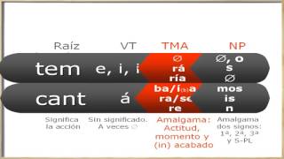 el verbo y sus morfemas [upl. by Fabrin]