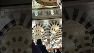 madina sharif  আলহামদুলিল্লাহ মদিনা শরীফ shorts youtubeshorts [upl. by Evangeline192]