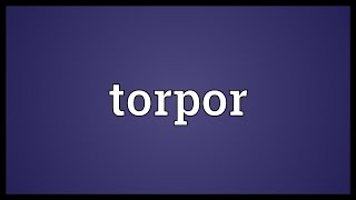 Torpor Meaning [upl. by Helbonna]