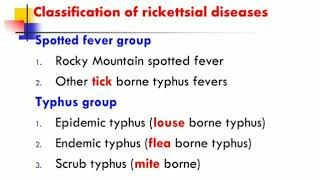 Rickettsia quick revision  Basic microbiology [upl. by Ellennahs]