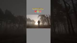 Tere Hi Baren Main hai sad video sadstatus whatsappstatus heartbrokenquotes dukhbhare stutas [upl. by Ecinwahs]