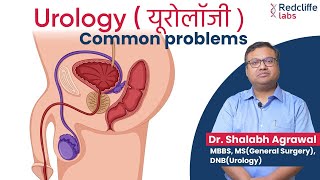 🤔 Who Is A Urologist And What Do Urologists Do💹 What Diseases Do Urologists Treat When to Consult [upl. by Letniuq]