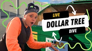 KING of all FINDS at Dollar Tree dumpsterdivers dumpsterdiving dollartreehaul [upl. by Coopersmith]