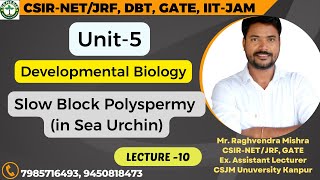 SlowBlockPolyspermy seaurchin developmentalbiology  L10 𝐆𝐞𝐧𝐞𝐬𝐢𝐬 𝐈𝐧𝐬𝐭𝐢𝐭𝐮𝐭𝐞 𝐨𝐟 𝐋𝐢𝐟𝐞 𝐒𝐜𝐢𝐞𝐧𝐜𝐞𝐬 [upl. by Christye]