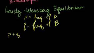 HardyWeinberg Principle [upl. by Bridgid]