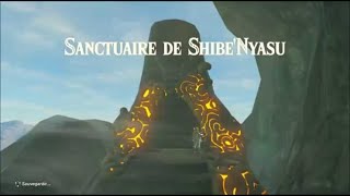 Sanctuaire de ShibeNyasu  Esprit Jumelés  Zelda Breath of the Wild [upl. by Haida]