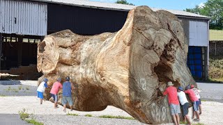 Amazing Sawing❗The Dragon Gods Legacy Trembesi Wood Sawed  Sawmills In Action [upl. by Onaicram632]