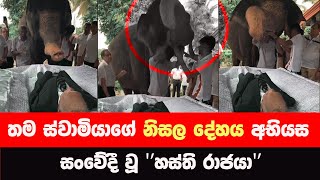 තම ස්වාමියාගේ නිසල දේහයට අවසන් ගෞරව දැක්වූ හස්තියාquotquot [upl. by Odeen]