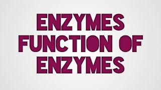 Enzymesfunction of enzymes substrateActive siteActivation energy [upl. by Ennahteb]