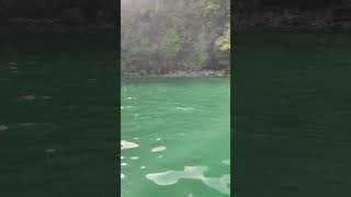 View of Saut Deau Beach from the sea Trinidad [upl. by Yebba]