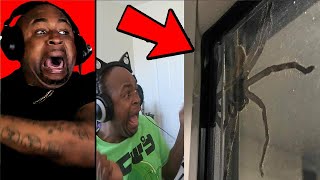 try not to get scared challenge HUGE BUG EDITION Reaction [upl. by Tonnie799]