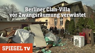 Zwangsräumung bei den Rammos ClanFamilie verwüstet Berliner Villa  SPIEGEL TV [upl. by Pearce244]