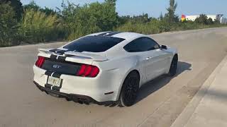 2019 Mustang GT 10R80 with Steeda HPipe installed [upl. by Eceinehs500]