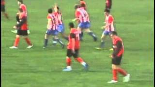 Vojvodina NM  Dalibor Beslin gol [upl. by Rednirah]