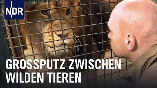 Frühjahrsputz in Niedersachsens Zoos  Die Nordreportage  NDR Doku [upl. by Barna]