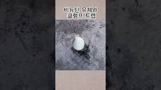 비뉴턴 유체와 클램프 트랩  흥미로운 지식 [upl. by Tnirb]