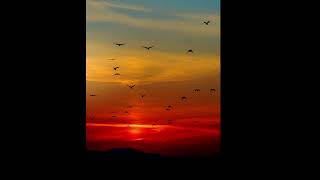 Instru Afro Type Beat TIF  quotCoucher Du Soleil quot  Instru Afro 2024 [upl. by Rance]