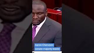 Aaron Cheruiyot senator majority leader [upl. by Mensch]