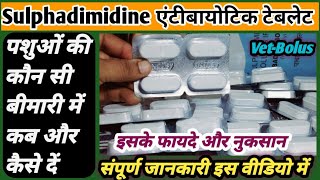 VetBolusSulphadimidine Antibioticइस टेबलेट का उपयोग पशुओं की कौन सी बीमारी में कैसे करें [upl. by Domenech]