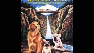 Disney Homeward Bound The Incredible Journey  Theme Piano Version by Jera3 [upl. by Bard]