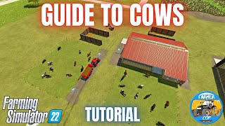 GUIDE TO COWS  Farming Simulator 22 [upl. by Teerprug]