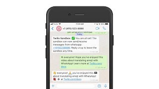 👉 Emoji translations with the 📞 Twilio API for 💬 WhatsApp and Nodejs [upl. by Siddon]