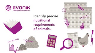 Discover the potenial of low crude protein diets  Evonik Animal Nutrition [upl. by Retse125]