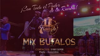 MIX BUFALOS  CARNAVALES PASTO 2020  GRUPO quotLA TRAVESIAquot [upl. by Serena233]