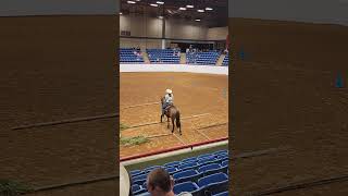 2022 Extreme Mustang Makeover Fort Worth Texas Adult Trail Class [upl. by Sanborne343]