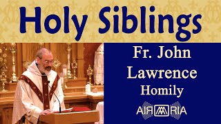 Martha Mary and Lazarus Love for Jesus Jul 29  Homily  Fr John Lawrence [upl. by Birk432]