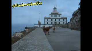 Y esto es una maravilla del Faro de Finisterre Fisterra sus cabras pastando y saltando 😁 cuando [upl. by Nolak]