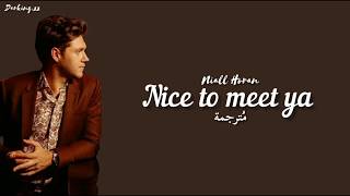 Nice To Meet Ya  Niall Horan  مترجمة [upl. by Sada]