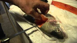 How to Fillet a Trout without gutting it  Fly Fishing [upl. by Nnaesor903]