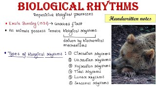 Biological rhythms [upl. by Parthenia]