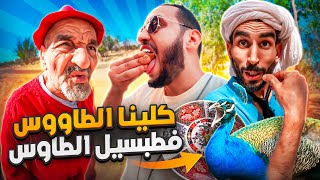 كلينا الطاوس فطبسيل الطاوس😳🤣 [upl. by Amedeo]