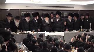 Gerer Rebbe Dances At His Grandsons Sheva Brochos  Adar II 5784 [upl. by Litsyrk111]