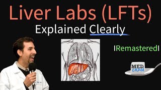 Liver Function Test Interpretation LFTs  Liver Enzymes Remastered Bilirubin GGT Alk Phos [upl. by Attener388]