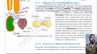 Morphology of flowering plants part 6  The Fruit  The Seed  Chapter 5 class 11 Biology NCERT [upl. by Nertie818]