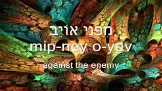 Messianic worship song Psalm 61 Shimah Elohim Christene Jackman in Biblical Hebrew subtitles [upl. by Dilks374]