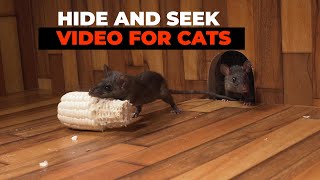 CAT GAMES 😺 Hide and Seek Mice for Cats to Watch with Bird Sounds [upl. by Yong]